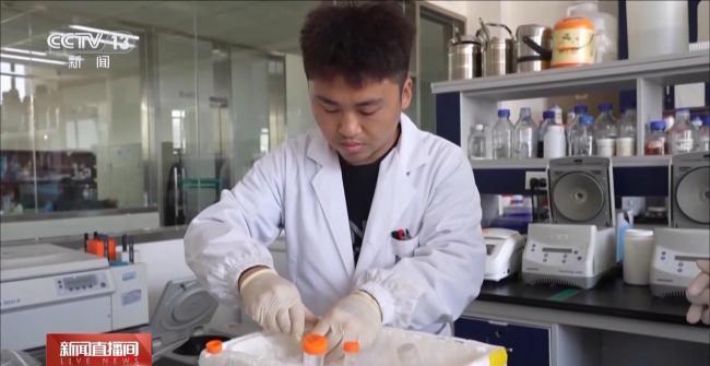 基因攻坚守护我们的“米饭自由” 破解水稻耐热基因密码