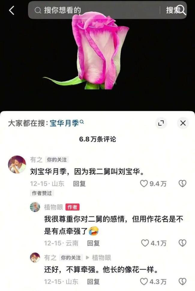 用二舅“刘宝华”命名的新品种月季初审通过，当事网友：春节时当面告诉二舅