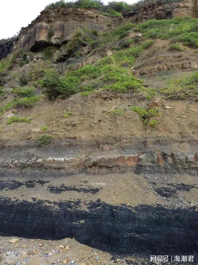 最惨烈的一次大灭绝后，仅300万年，海洋生态竟“神速”重启了 5米长巨兽已称霸海洋