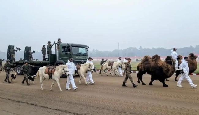 印度阅兵首次引入动物方队 展示独特风采