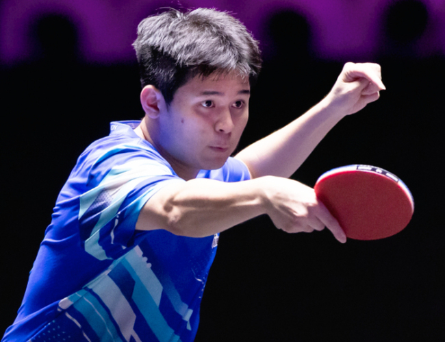 WTT多哈冠军赛男单签位：向鹏首轮pk张本智和！林诗栋梁靖崑同一1/4区