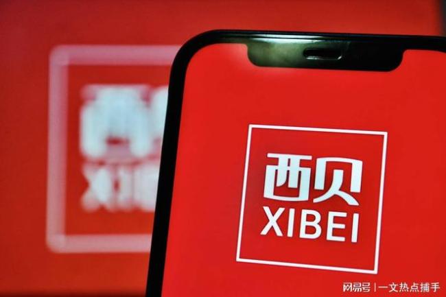 西贝服务员月入九千？工资条引爆全网“打工人幻觉”