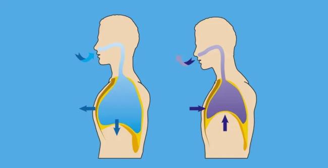 医生提醒4件事很伤免疫力 警惕免疫下降信号