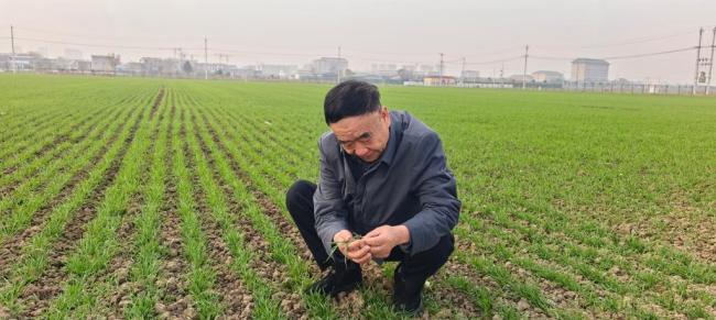 习近平总书记关切事·嘱托|沃野兴农人的丰收密码