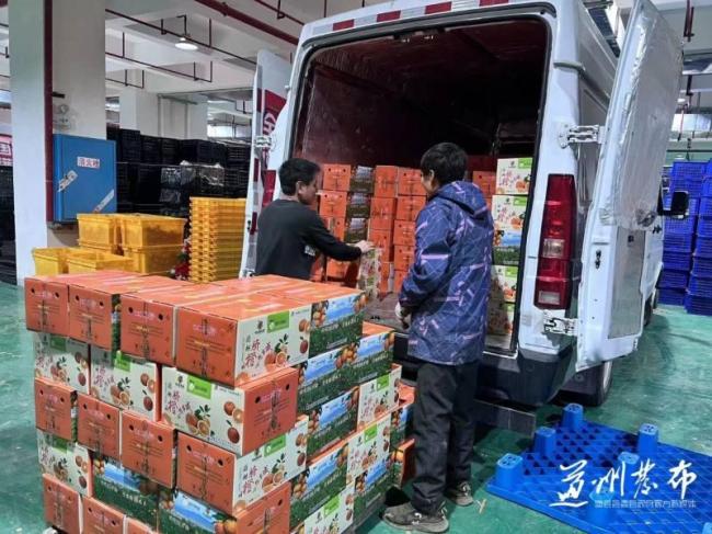 江苏十三太保凌晨迎接永州冠军橙小队 脐橙承载深情厚谊