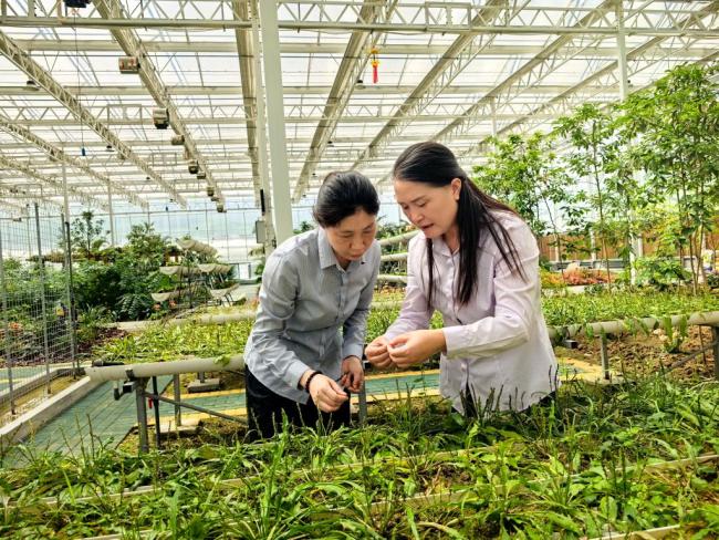 习近平总书记关切事·嘱托|生态守护者的绿色画卷