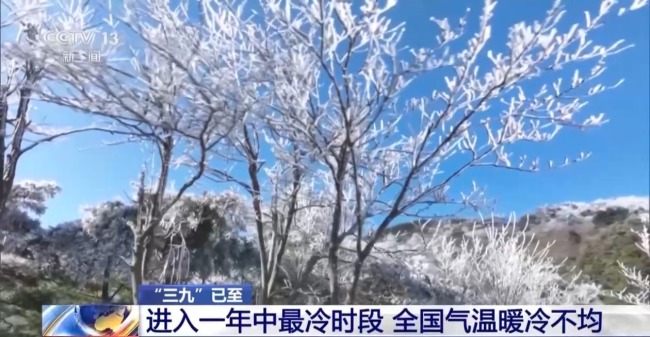 “三九”已至 进入一年最冷时段 气温有啥特点？