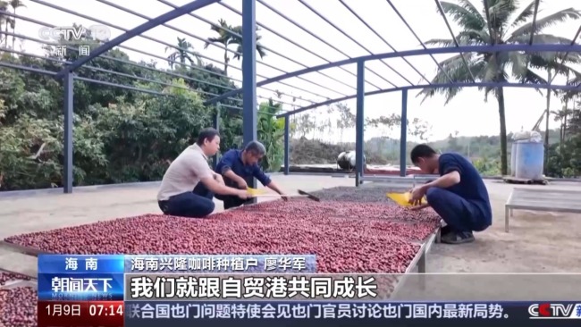 企业投资热、发展机遇多 海南自贸港产业消费升温