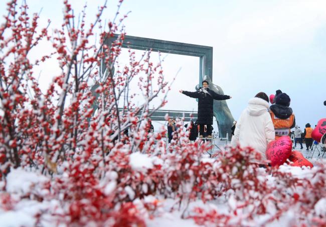 冬日到“雪窝子”雪中看海 浪漫成景