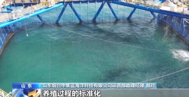 上百万尾鱼苗跨越山海 “蓝色粮仓”加速丰盈