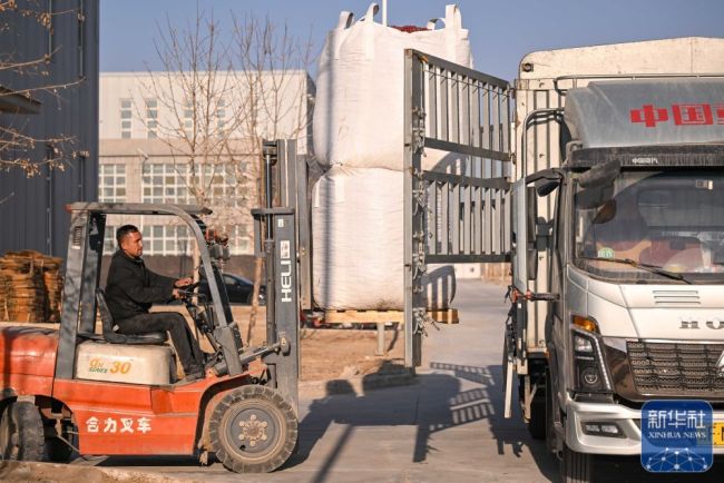 新春“疆”味浓 云端快车道助农增收