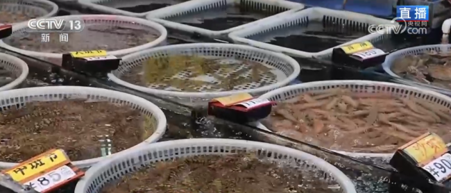 品质升级、暖意涌动点亮节前消费新图景