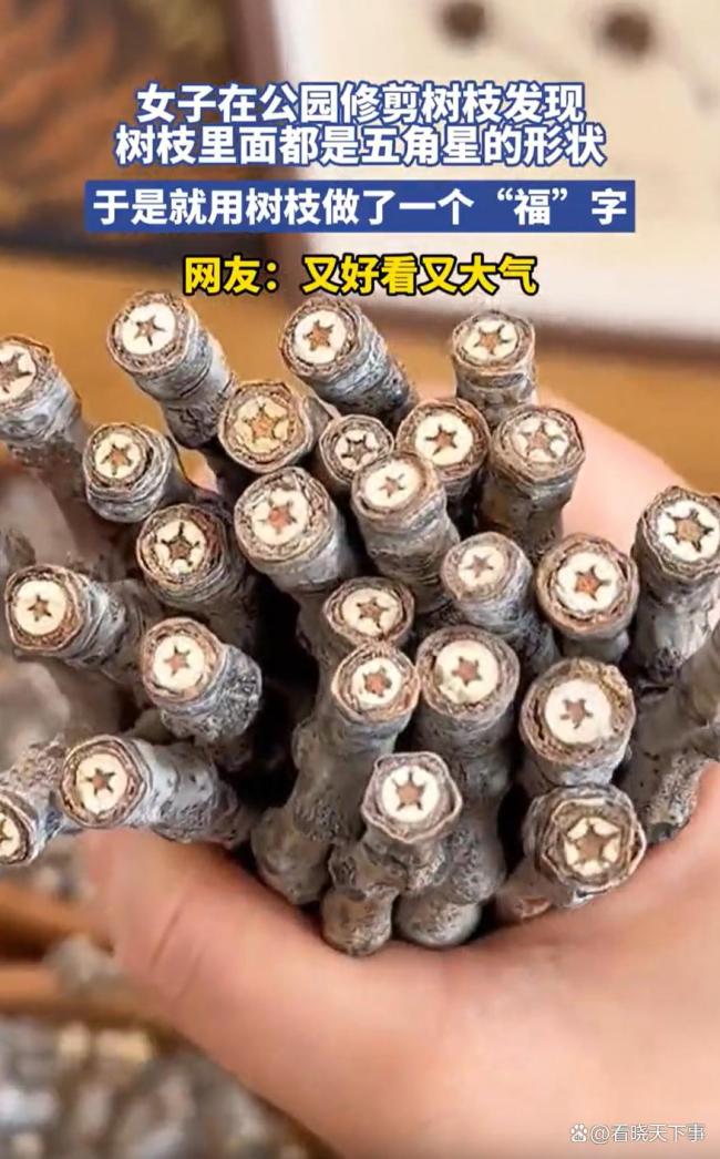 女子发现树枝断面都是五角星的形状 创意福字引网友热议