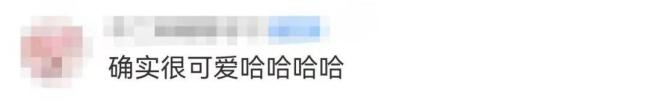 哭哭马 意外走红的“反差萌”