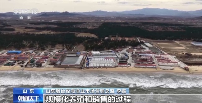 上百萬尾魚苗跨越山海 “藍(lán)色糧倉”加速豐盈