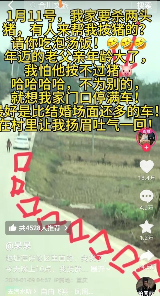 重庆合川文旅连夜开会：接住泼天流量