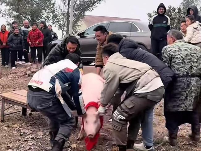 合川文旅:忙了1年流量不如2只猪 一碗刨猪汤温暖人心