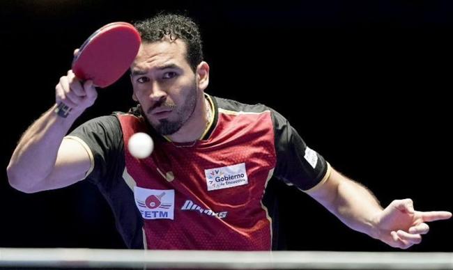 樊振东3比0米诺