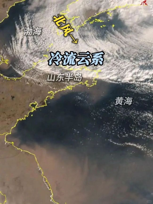 为什么威海特大暴雪这么厉害 冷流雪特色揭秘