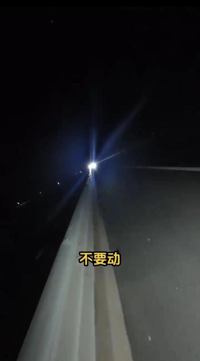 9岁男孩被发现带伤晚上在高速行走 好心司机救助获赞