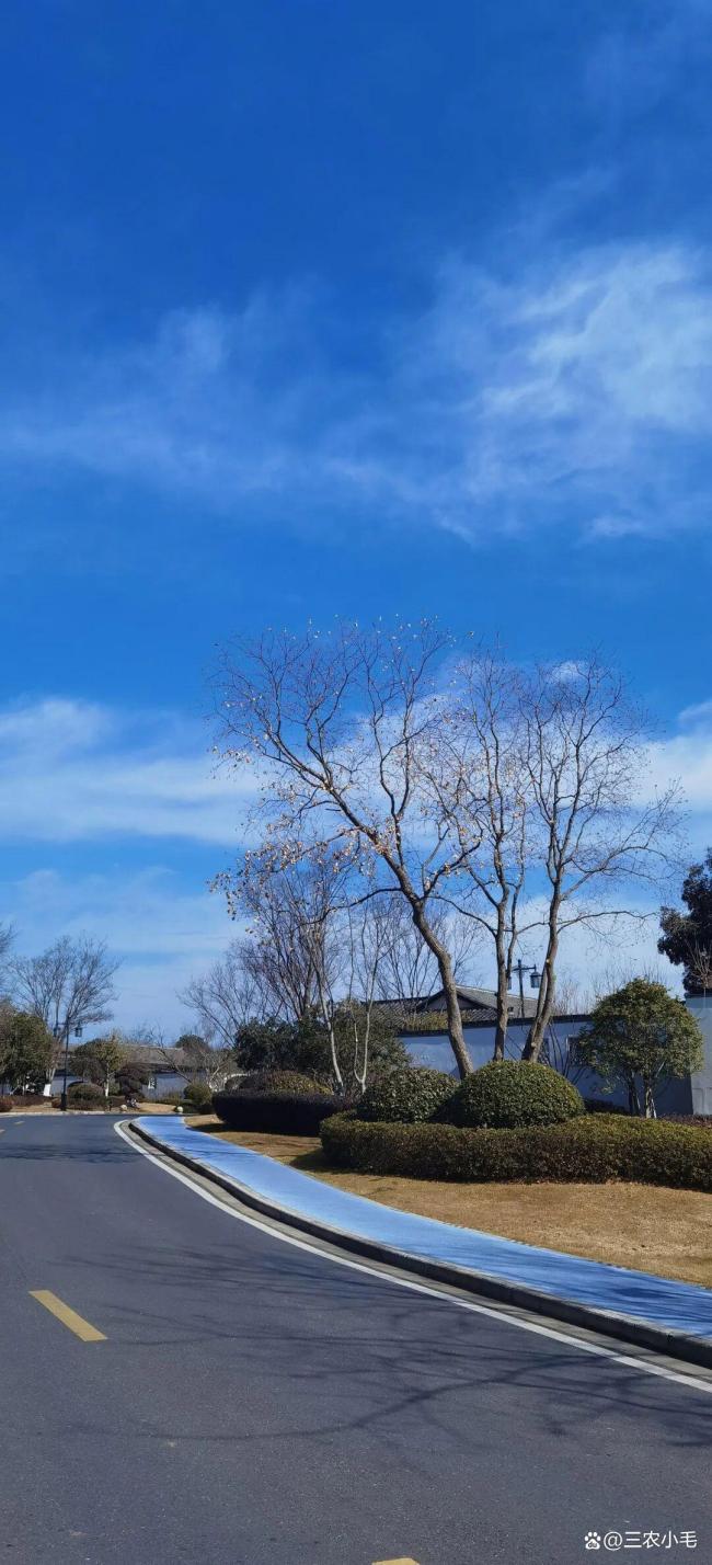 三九天回暖 可以确定暖冬吗