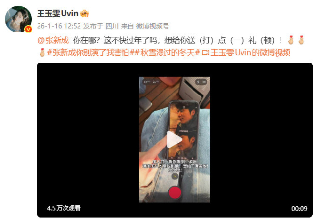 王玉雯回复张新成发给你妈妈了