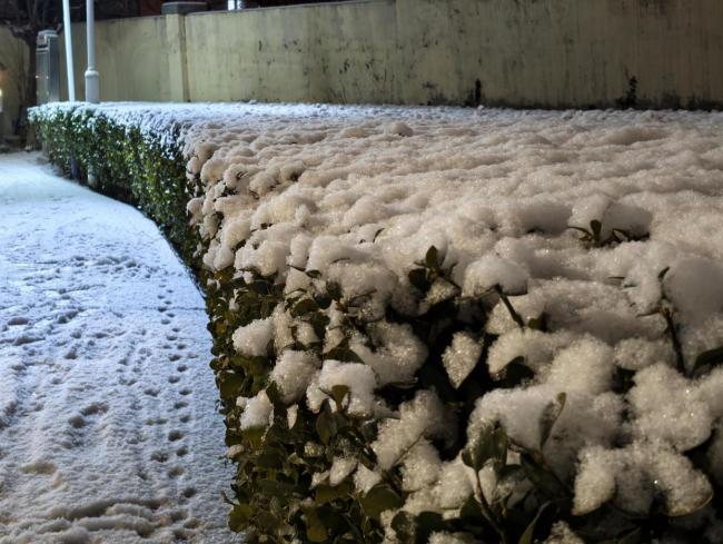 北京此次降雪为何雪花这么大 鹅毛大雪成因揭秘