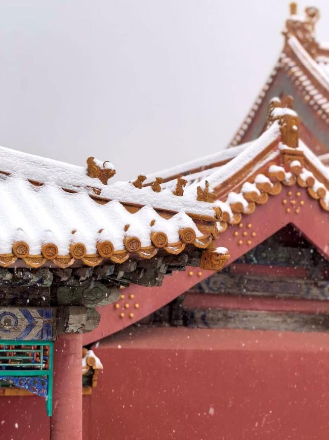 没东说念主能圮绝雪后的故宫 穿越六百年的纵欲