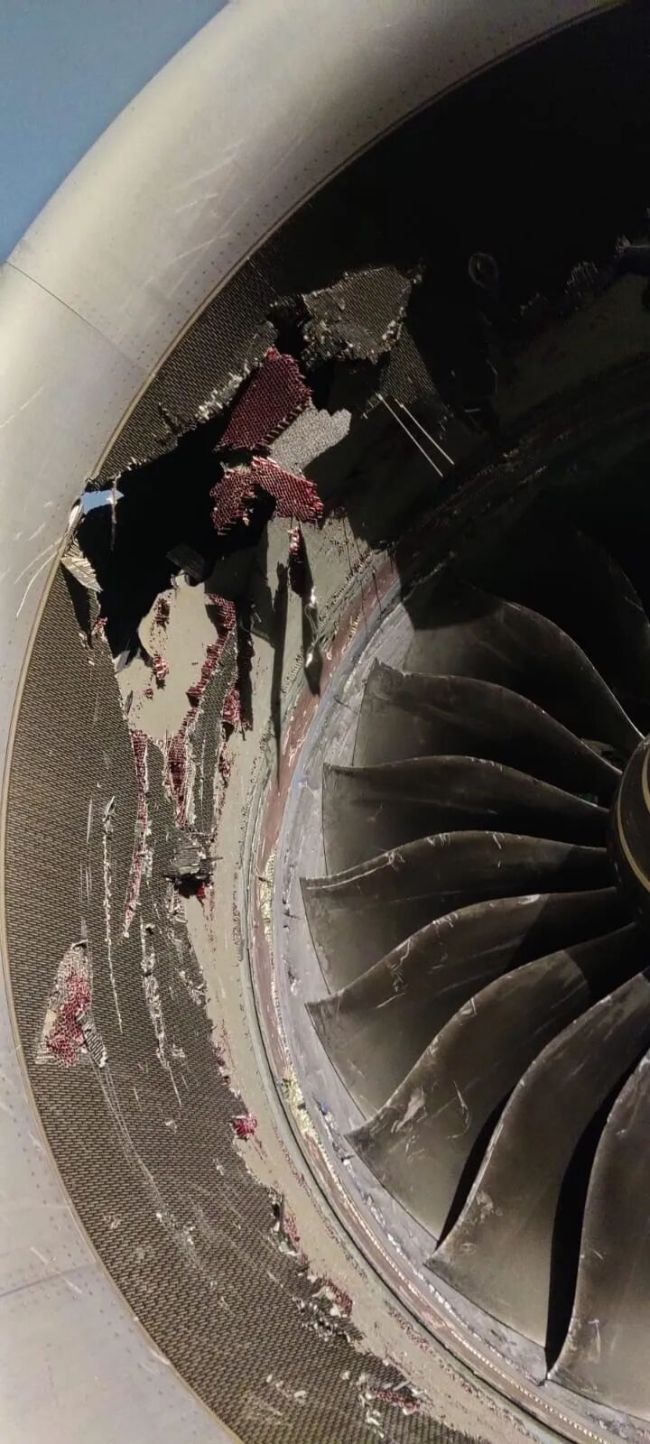 印度航空一架A350客机，因引擎吸入行李箱受损 事故致航班受影响