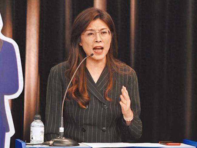 郑丽文回应新北嘉义市长提名陷停顿