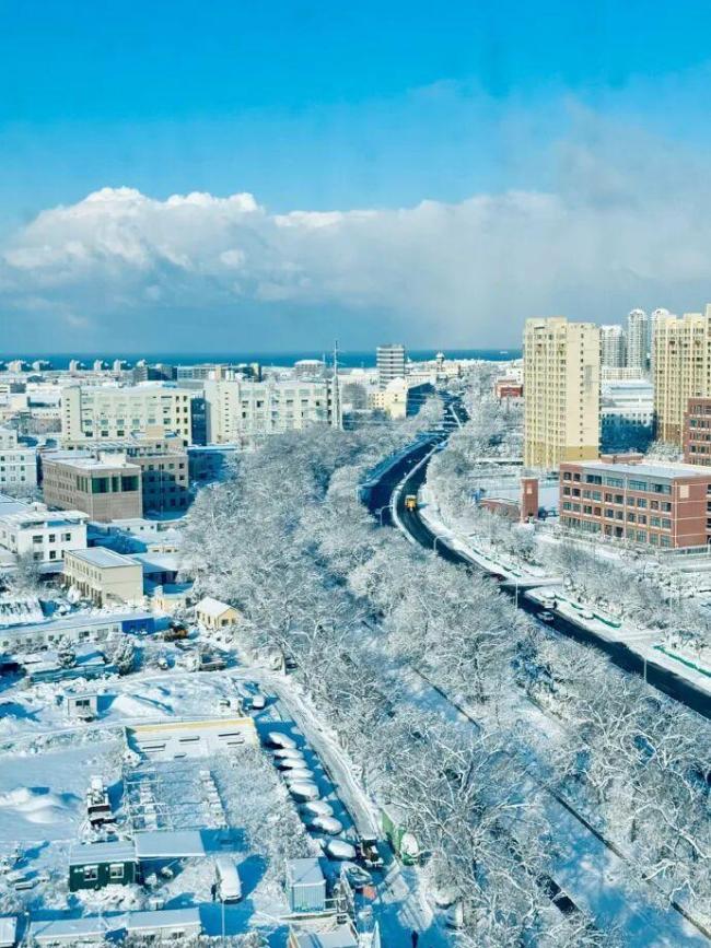北京下雪很冷但家门口很暖 城市韧性迎磨真金不怕火