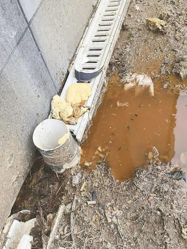 2楼直排粪水1楼打528次投诉电话无果 多方求助未解难题