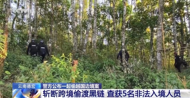连夜追击 12人落网！云南警方斩断跨境偷渡黑链