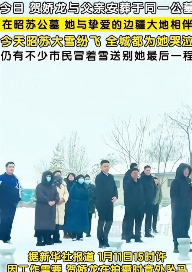 云南新品种月季征名 网友提名娇龙