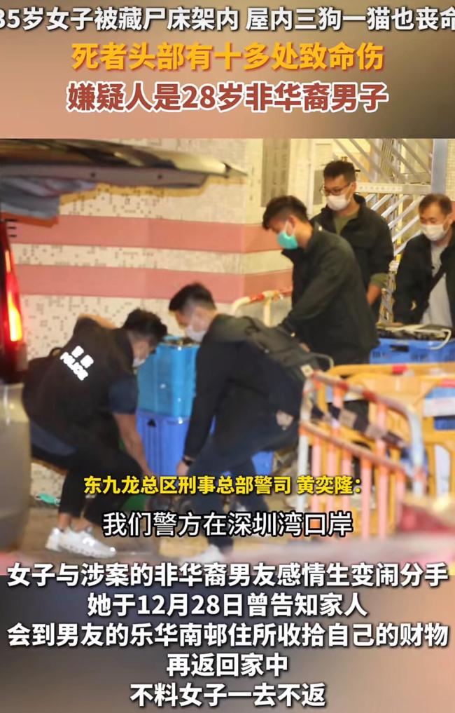 香港床底藏尸案现场还有3狗1猫尸体 凶犯毫无东谈主性