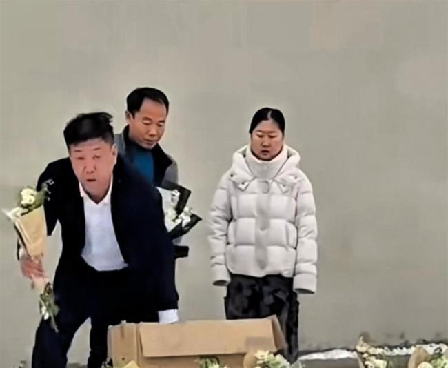 云南新品种月季征名 网友提名娇龙 以花回想骁雄