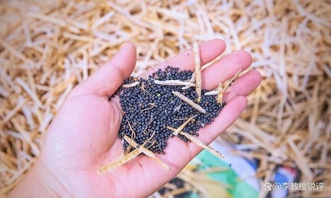 特朗普称跟中国签协议对加是好事 加拿大寻求贸易多元化