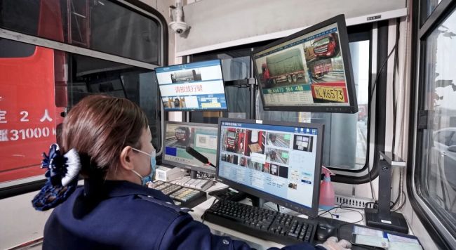 河南趴地菠菜走红 高速绿通送全国