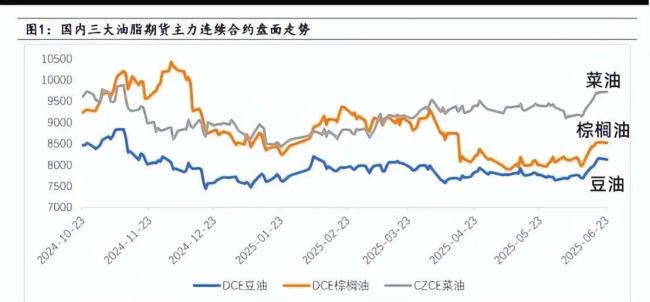 中加油菜籽贸易回暖你怎么看 政策调整影响市场预期