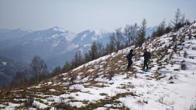 10年来最接近北京豹影被拍到了 华北豹再现太行山