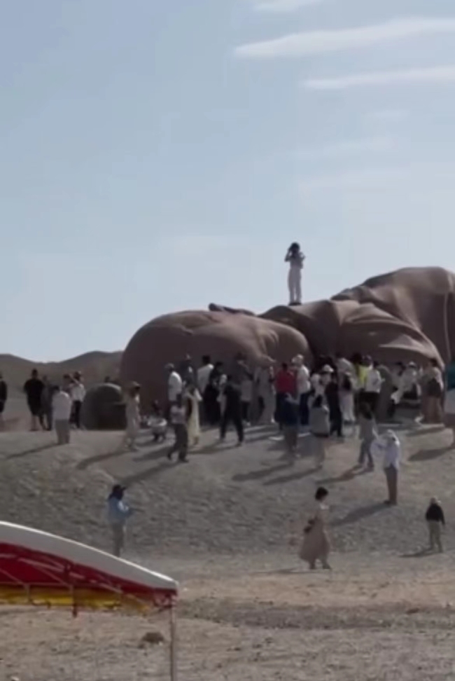 文旅局回应大地之子雕塑成公厕