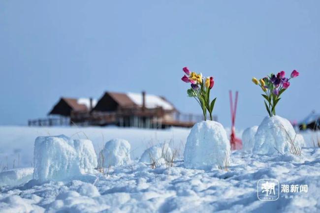 贺娇龙母亲:让她静静地离开吧,昭苏送别“网红干部”