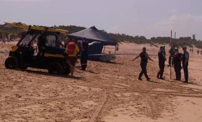 悉尼24小时内三起鲨鱼咬人 海滩接连遇袭