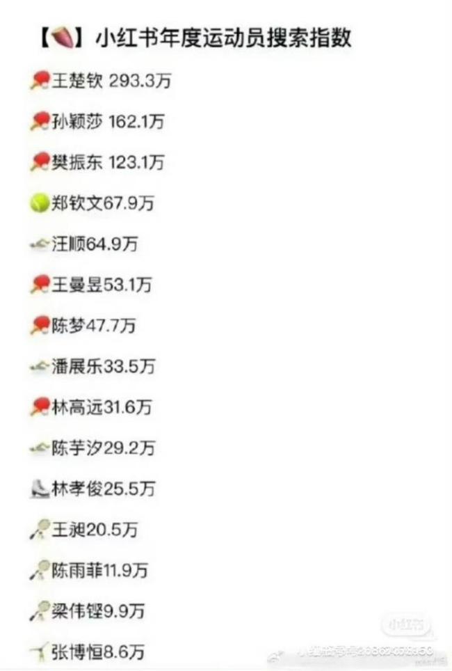 王楚钦2025年度话题人物第三