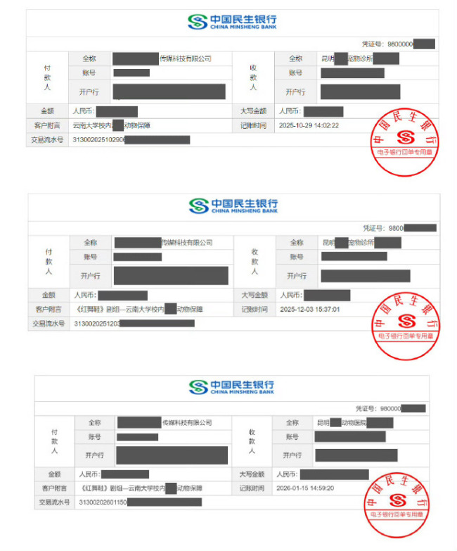 红舞鞋晒捐款记录 红舞鞋称善款已用于关爱小动物行动中