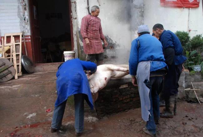 年猪一杀，年味瞬间至，找回被遗忘的乡野年味