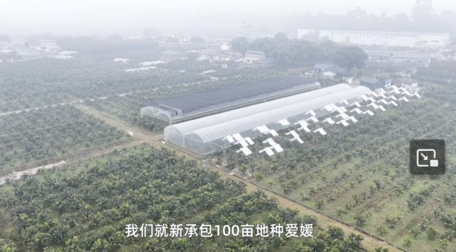 考研失败情侣辞职回村7年后翻盘 从道歉到被追着买