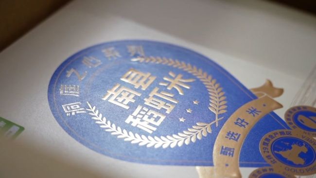 深耕產(chǎn)業(yè)提質(zhì)增效 以創(chuàng)新激活高質(zhì)量發(fā)展新引擎