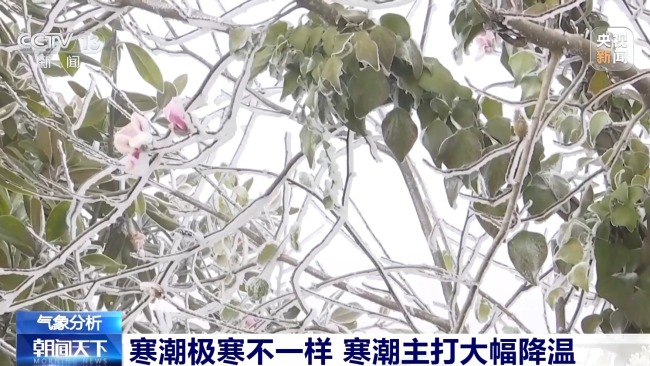 寒潮和极寒不是一回事儿 专家详解南北冷感差异