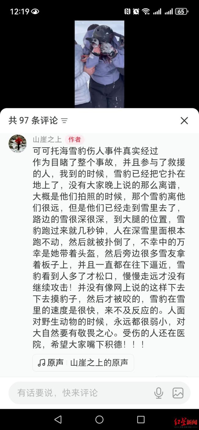 雪豹伤人事件当事人：没有摸雪豹，目击者还原真相